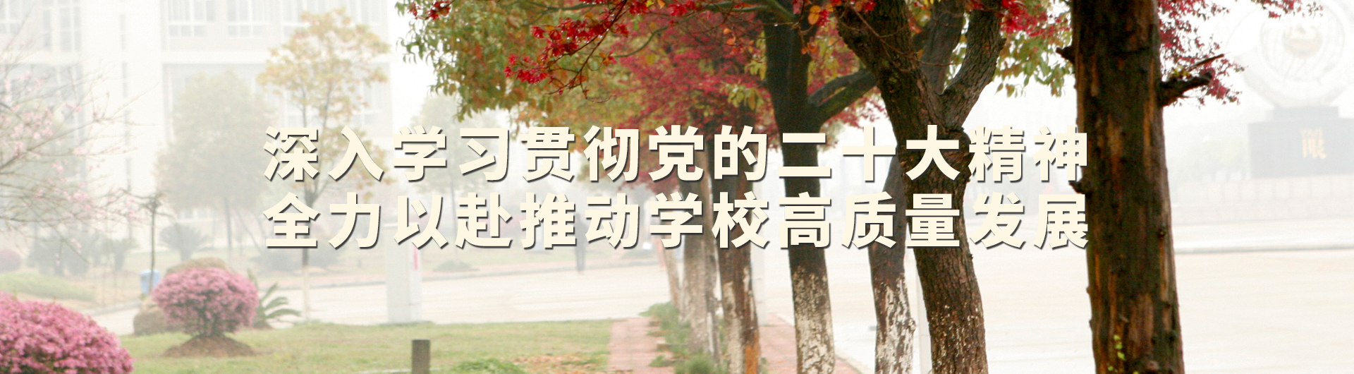 學(xué)習(xí)貫徹黨的二十大精神